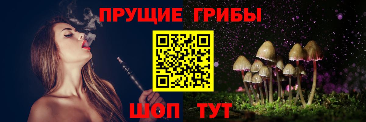 Избербаш  Псилоцибиновые грибы MAGIC MUSHROOMS  где найти   Вход с VPN 